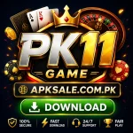 PK11 Game