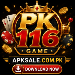 PK116 Game