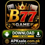 B77 Game